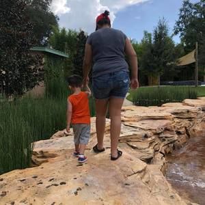 Meet your Posher, Ana